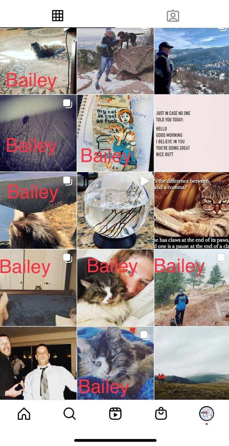 BaileyIG.jpg