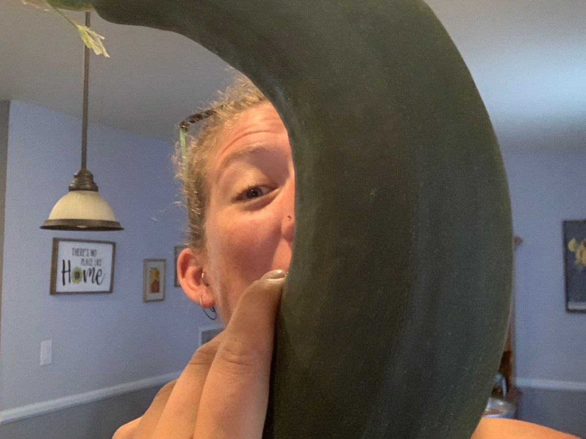 An Ode…or Something Like&nbsp;It